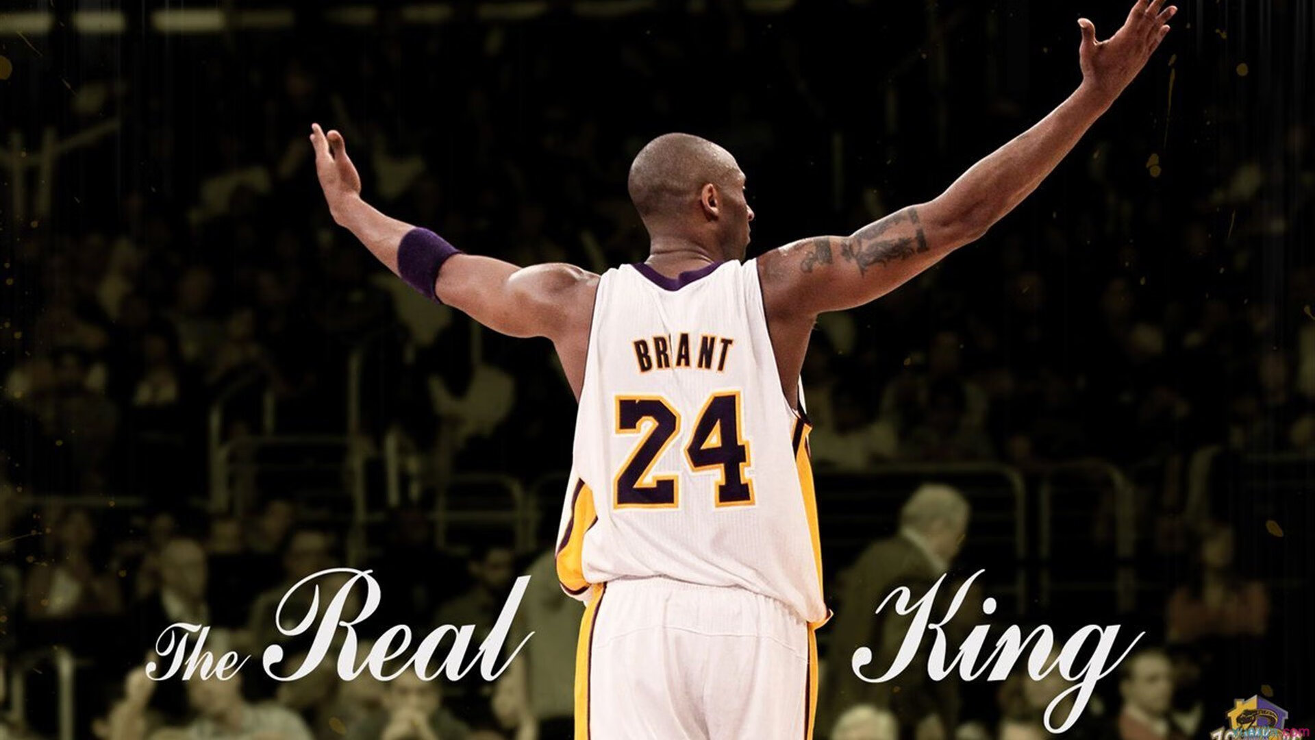 凯尔特人式防守横扫辽宁,赵继伟惊艳四座诠释现代篮球智慧